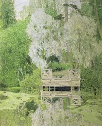 Saule Blanc Argenté, 1904